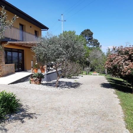 Quinta Do Senhor Villa Braga Buitenkant foto