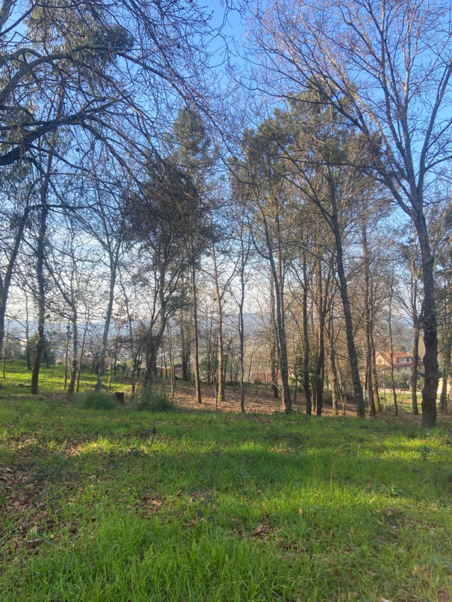 Quinta Do Senhor Villa Braga Buitenkant foto