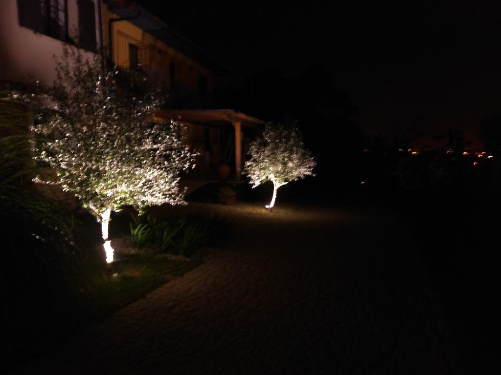 Quinta Do Senhor Villa Braga Buitenkant foto