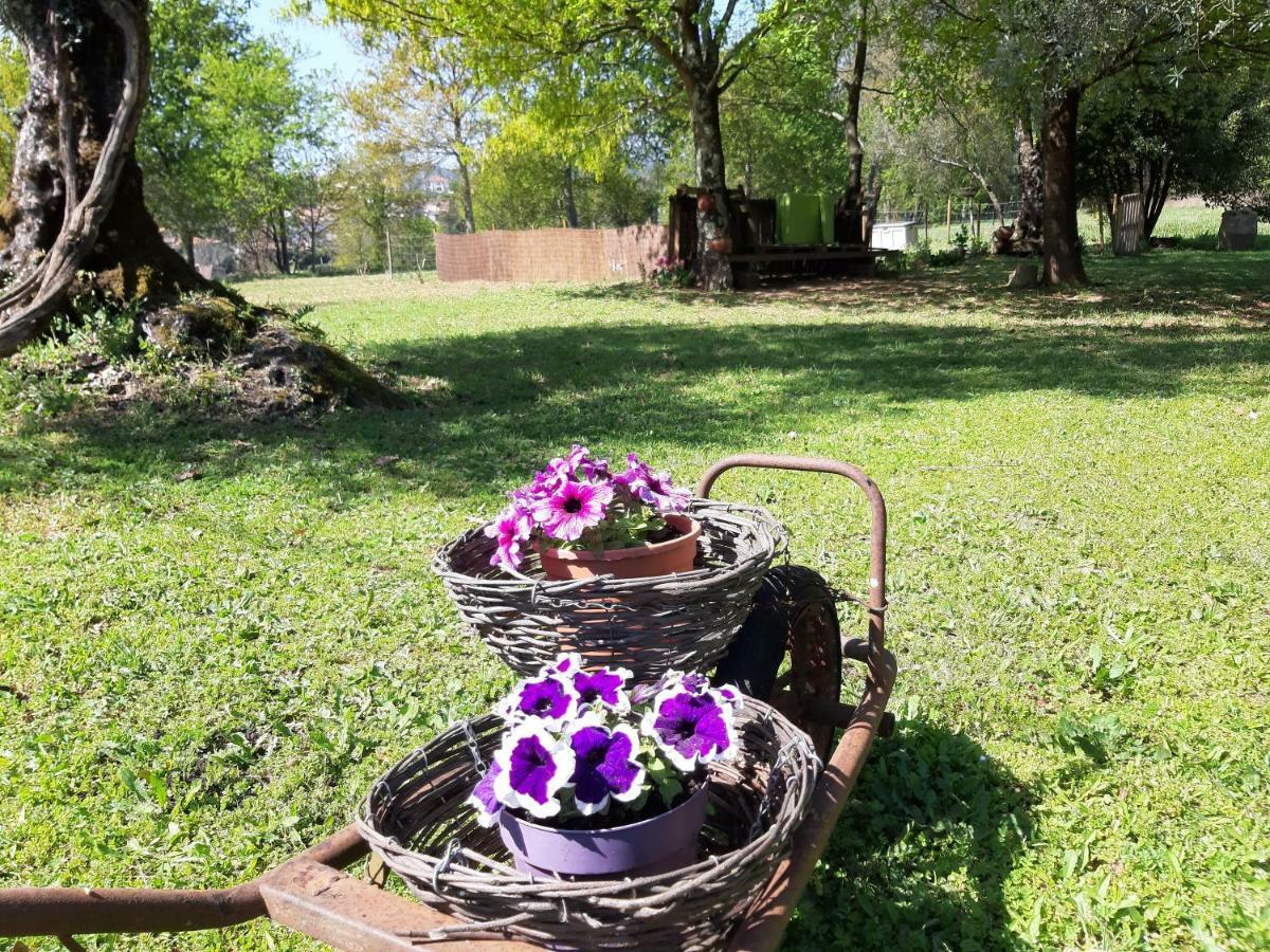 Quinta Do Senhor Villa Braga Buitenkant foto